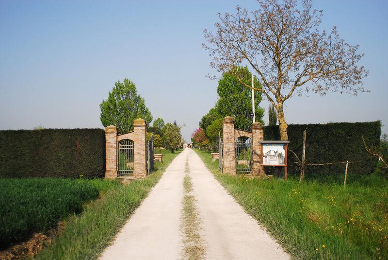 Agriturismo L'Angelina Villa Alfonsine Eksteriør billede